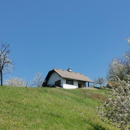 Apartma Pusa Pesnica pri Mariboru Exterior foto