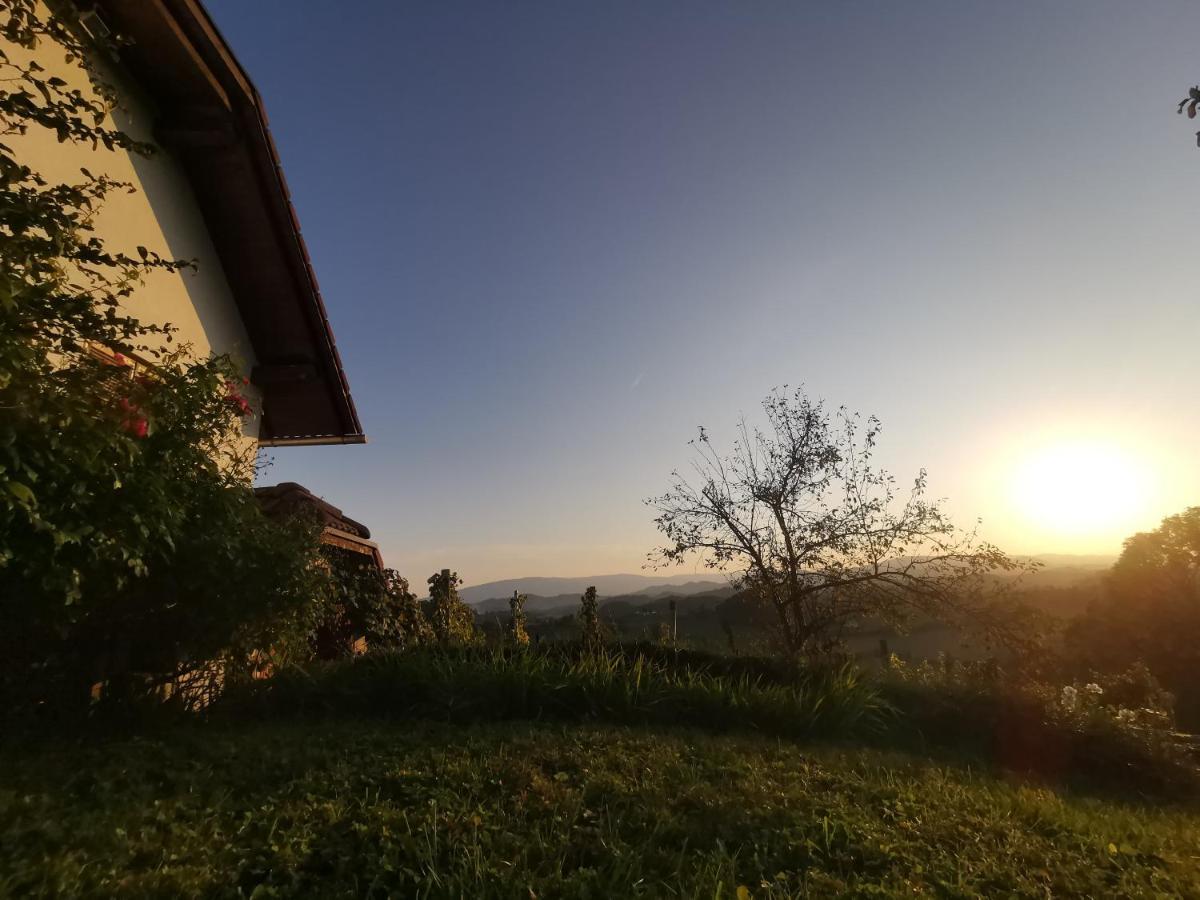 Apartma Pusa Pesnica pri Mariboru Exterior foto
